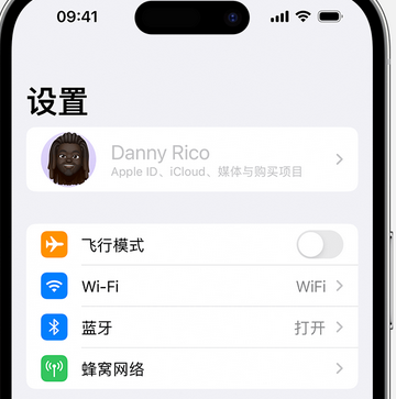 临城镇appleID维修服务iPhone设置中Apple ID显示为灰色无法使用 