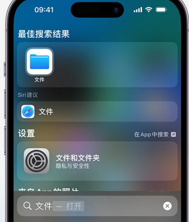 临城镇apple维修中心分享iPhone文件应用中存储和找到下载文件 