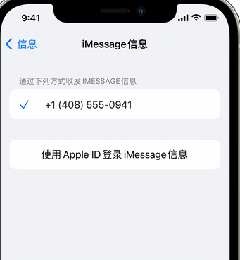 临城镇apple维修iPhone上无法正常发送iMessage信息