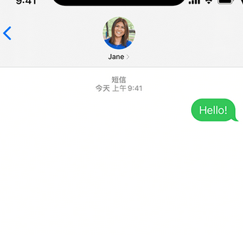 临城镇apple维修iPhone上无法正常发送iMessage信息