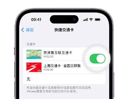 临城镇apple维修点分享iPhone上更换Apple Pay快捷交通卡手绘卡面 