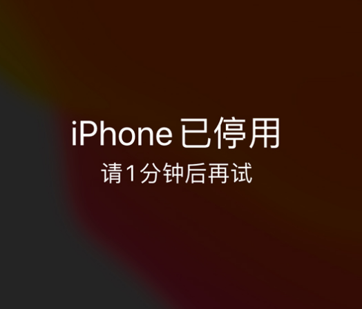 临城镇苹果手机维修分享:iPhone 显示“不可用”或“已停用”怎么办？还能保留数据吗？ 