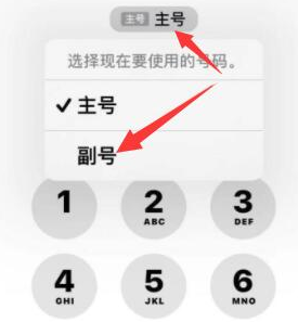 临城镇苹果14维修店分享iPhone 14 Pro Max使用副卡打电话的方法 