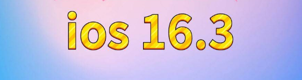 临城镇苹果服务网点分享苹果iOS16.3升级反馈汇总 