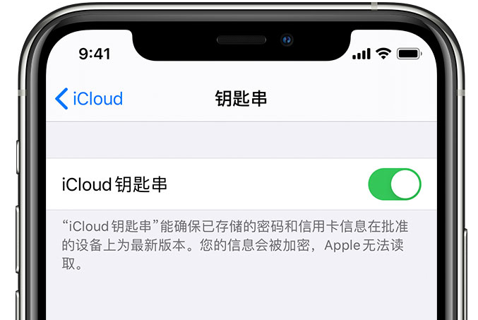 临城镇苹果手机维修分享在 iPhone 上开启 iCloud 钥匙串之后会储存哪些信息 