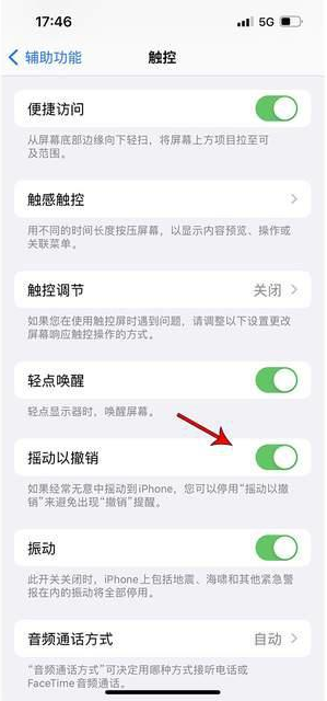 临城镇苹果手机维修分享iPhone手机如何设置摇一摇删除文字 